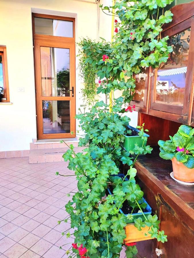 Hotel Luisa Brenzone sul Garda Dış mekan fotoğraf